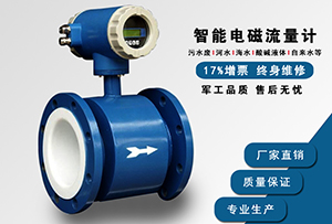 水泥漿流量計,測礦漿紙漿水煤漿管道計量表